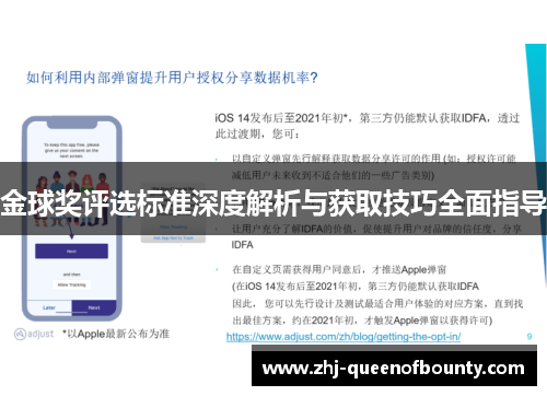 金球奖评选标准深度解析与获取技巧全面指导